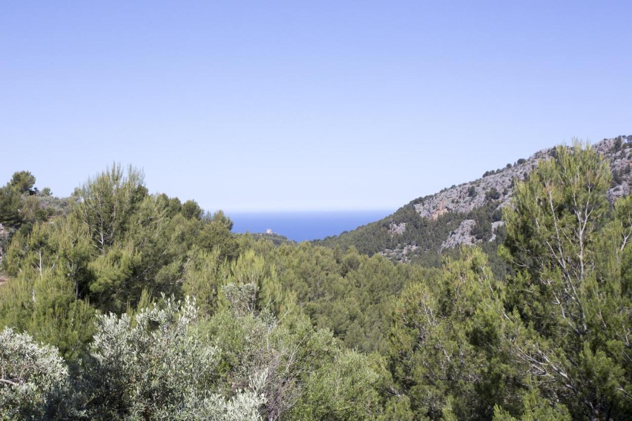Es Coco, Soller Puerto de Sóller