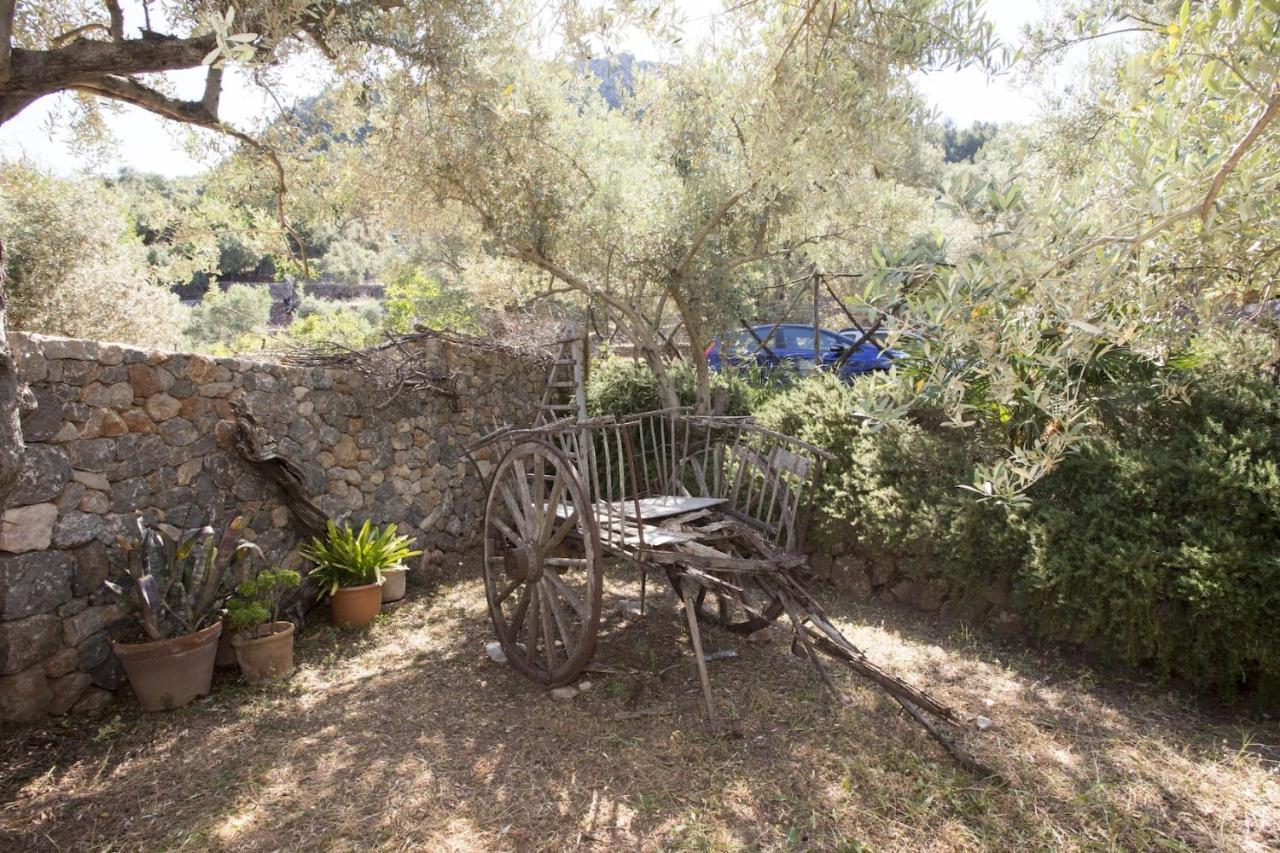 Es Coco, Soller Villa Puerto de Sóller