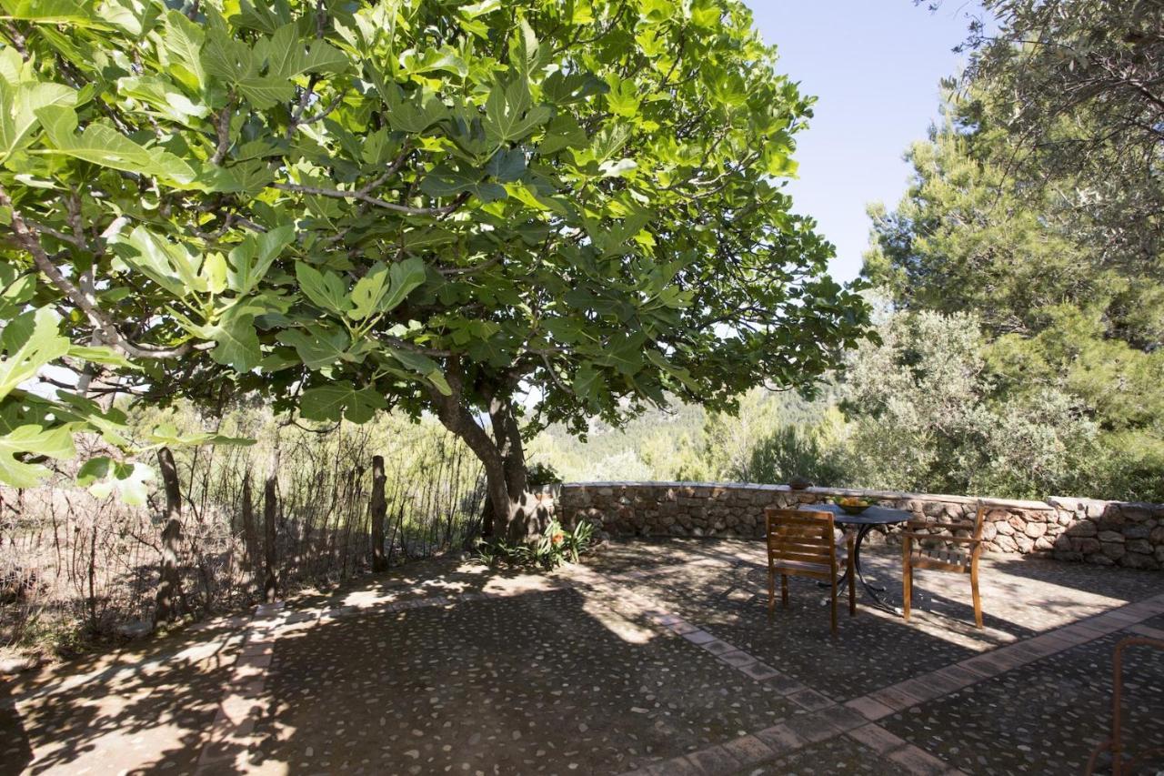 Es Coco, Soller Villa *
