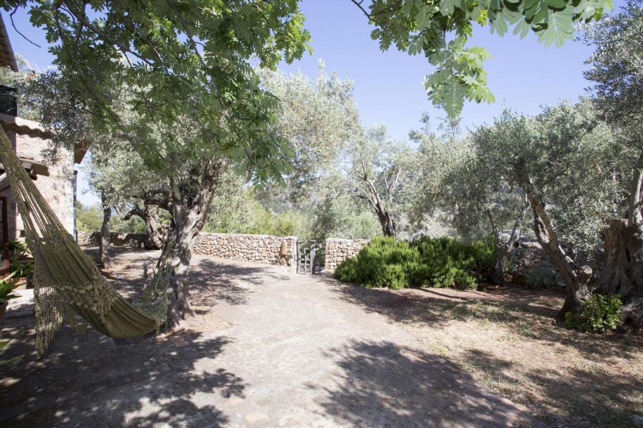 Villa Es Coco, Soller