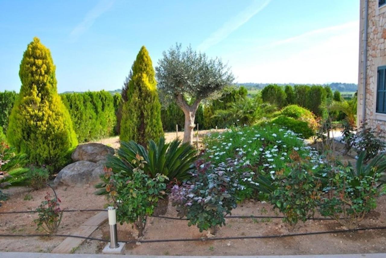 Es Vinyet By Priority Petra (Mallorca)
