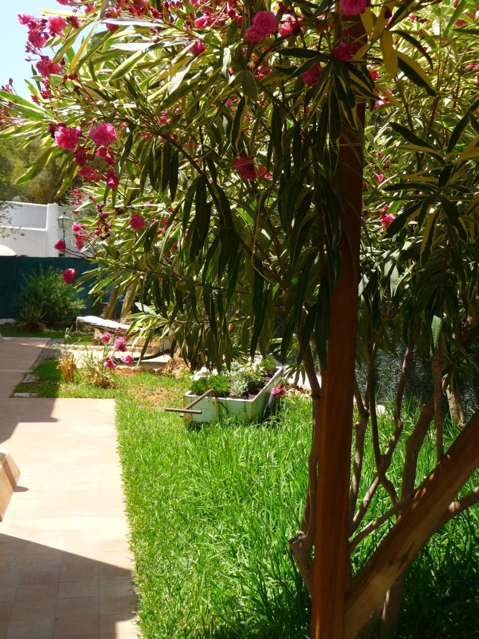 Apartment Osa Menor