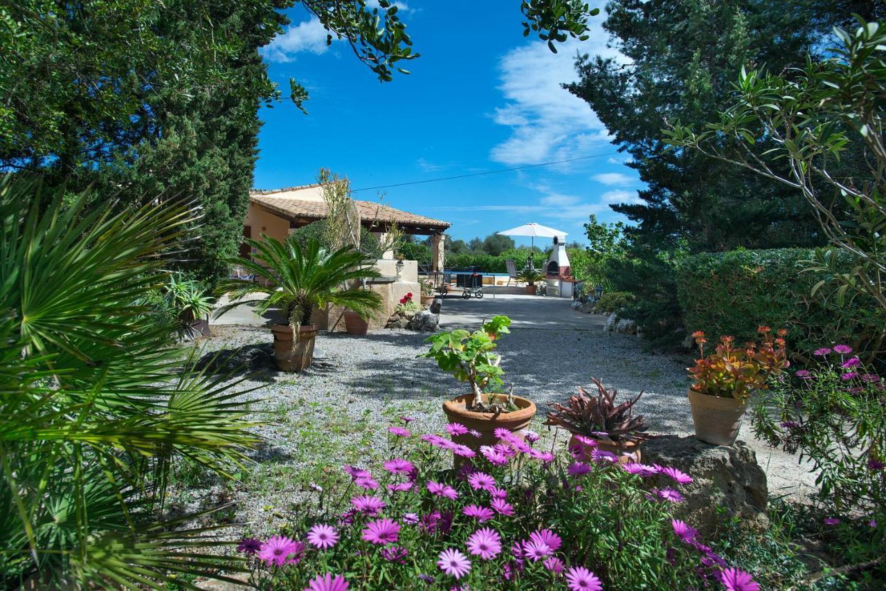 Villa Owl Teo - Rustic