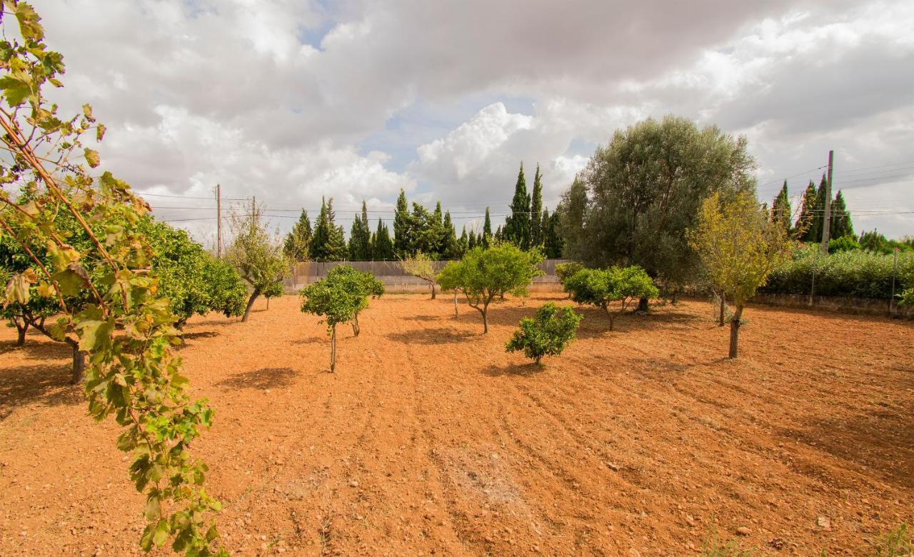 Creisell Villa *