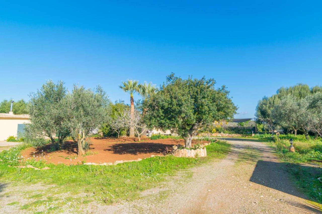 Sa Tanqueta De Ses Roques Santanyí