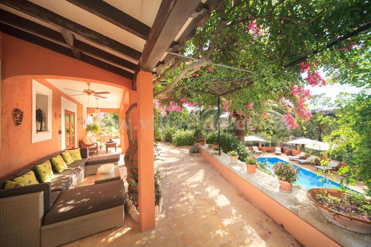Palmeras Portol
