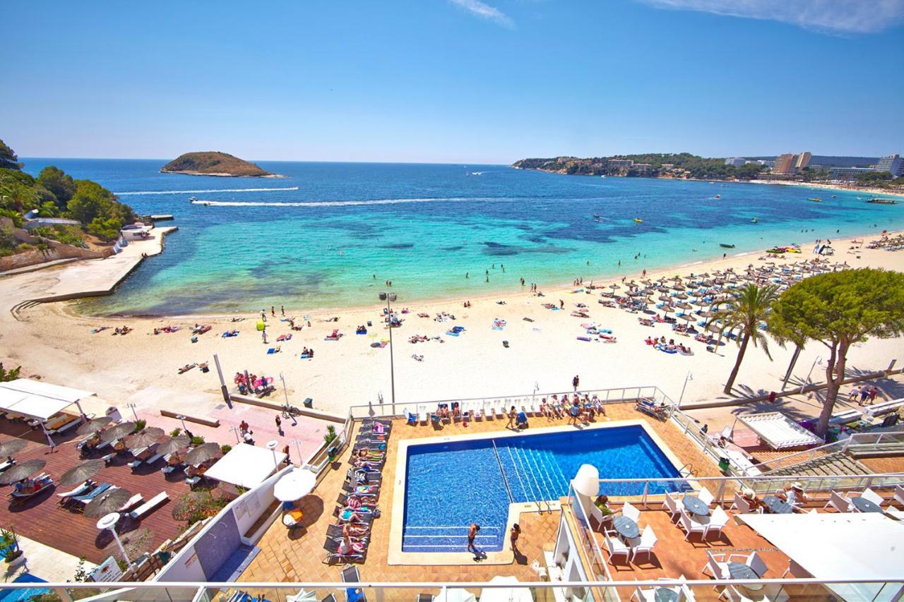 Flamboyan Caribe & Magaluf (Mallorca)