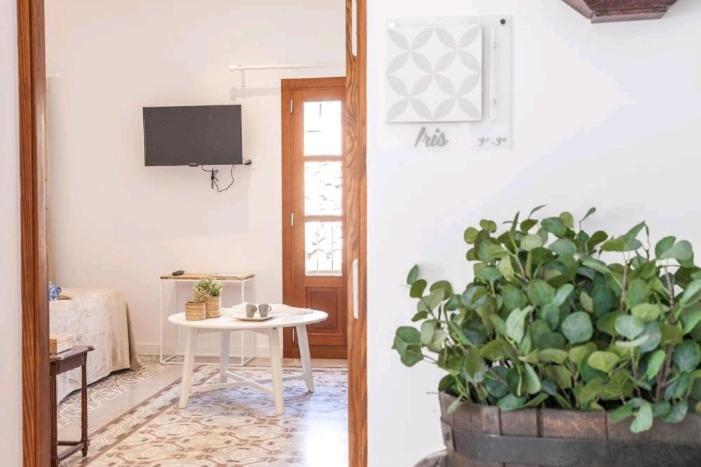 Made In Palma -turismo De Interior