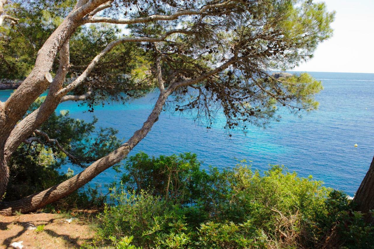 Apartamento Ferrera Park 602 Cala Ferrera (Mallorca)