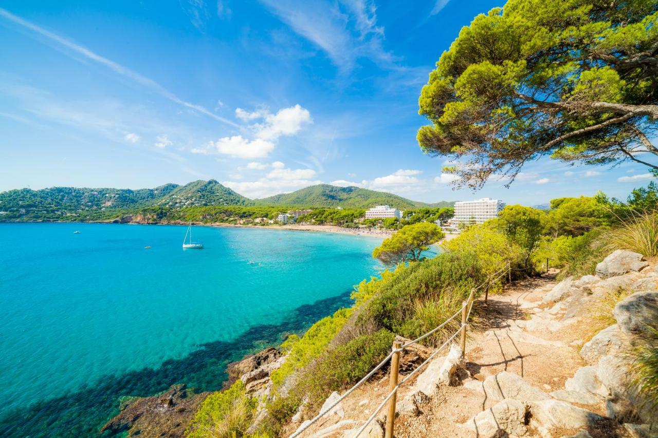 Sa Torre By Sureda Mas Apartamento Canyamel (Mallorca)