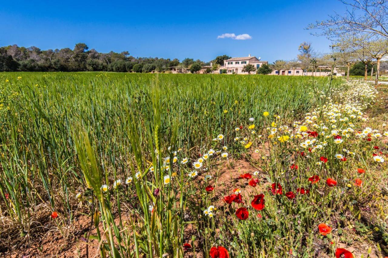 Sa Cova Den Borino * Campos (Mallorca)