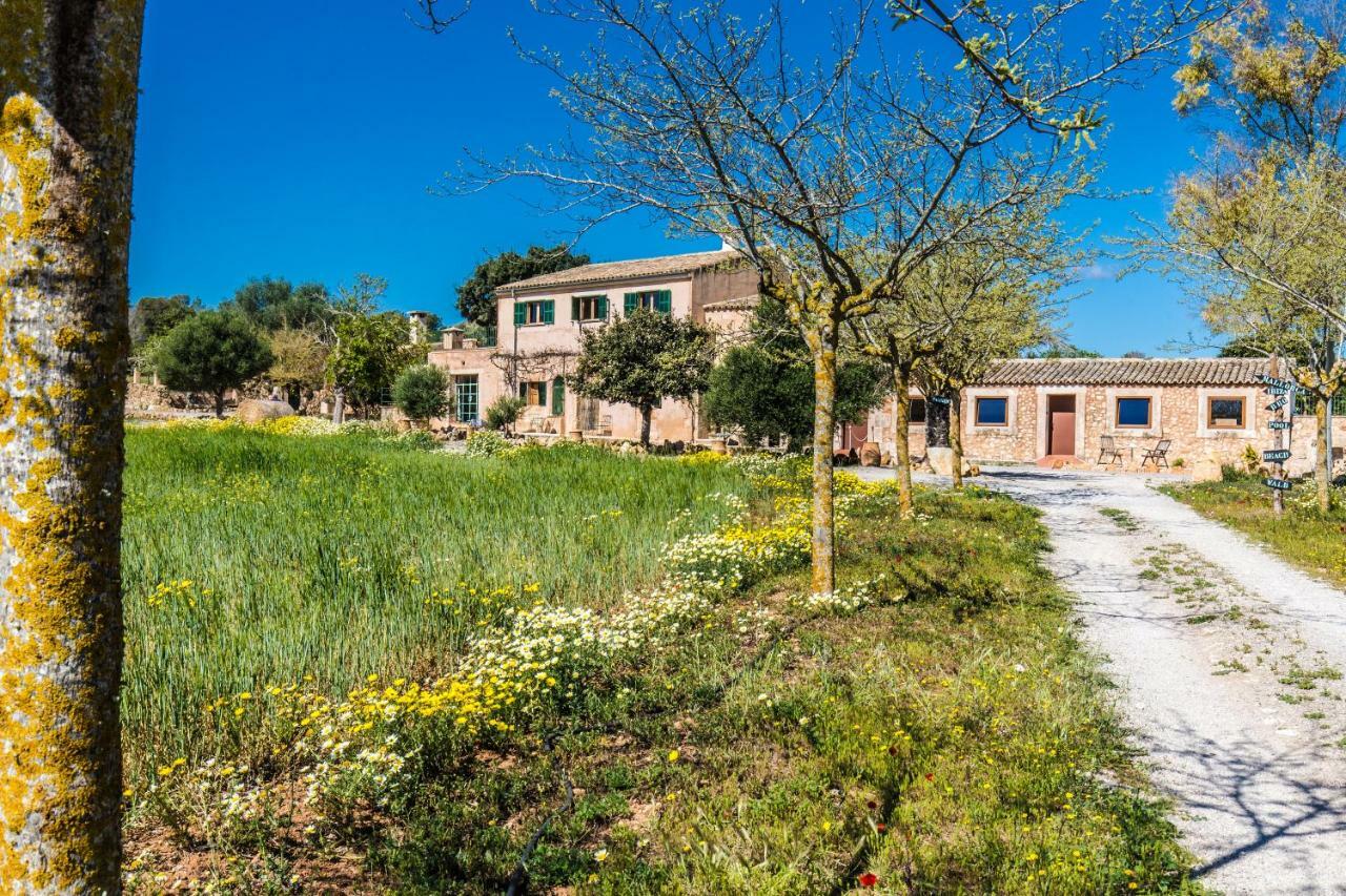 Agroturismo Sa Cova Den Borino