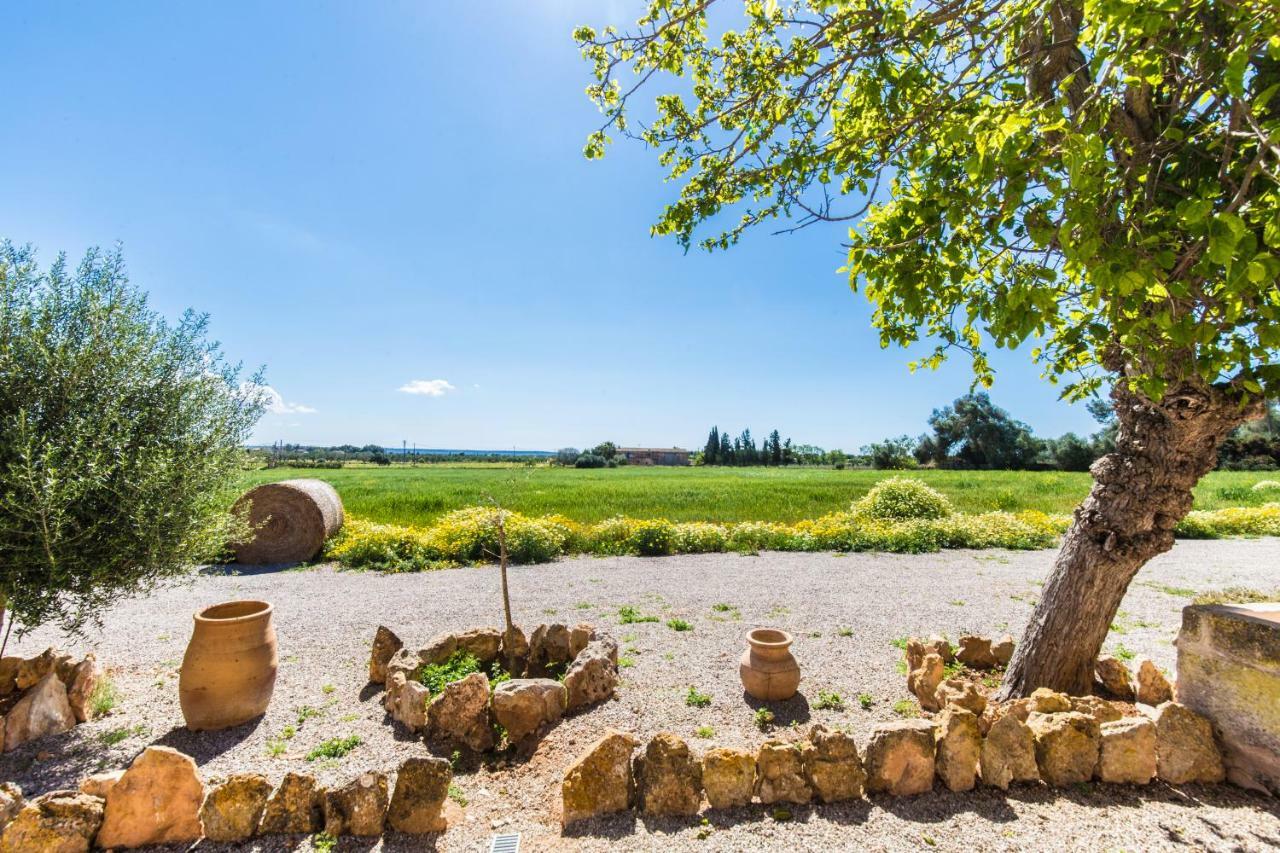 Agroturismo Sa Cova Den Borino Campos (Mallorca)