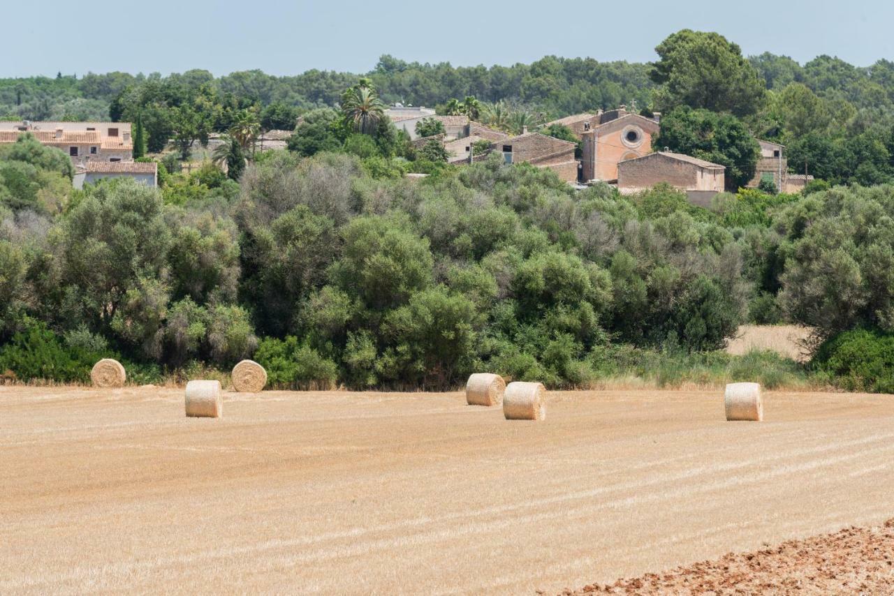 Petit Rural Son Jordá *