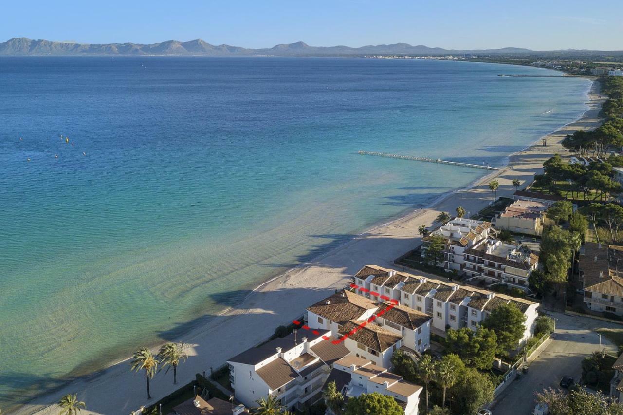 Lauba * Puerto de Alcúdia