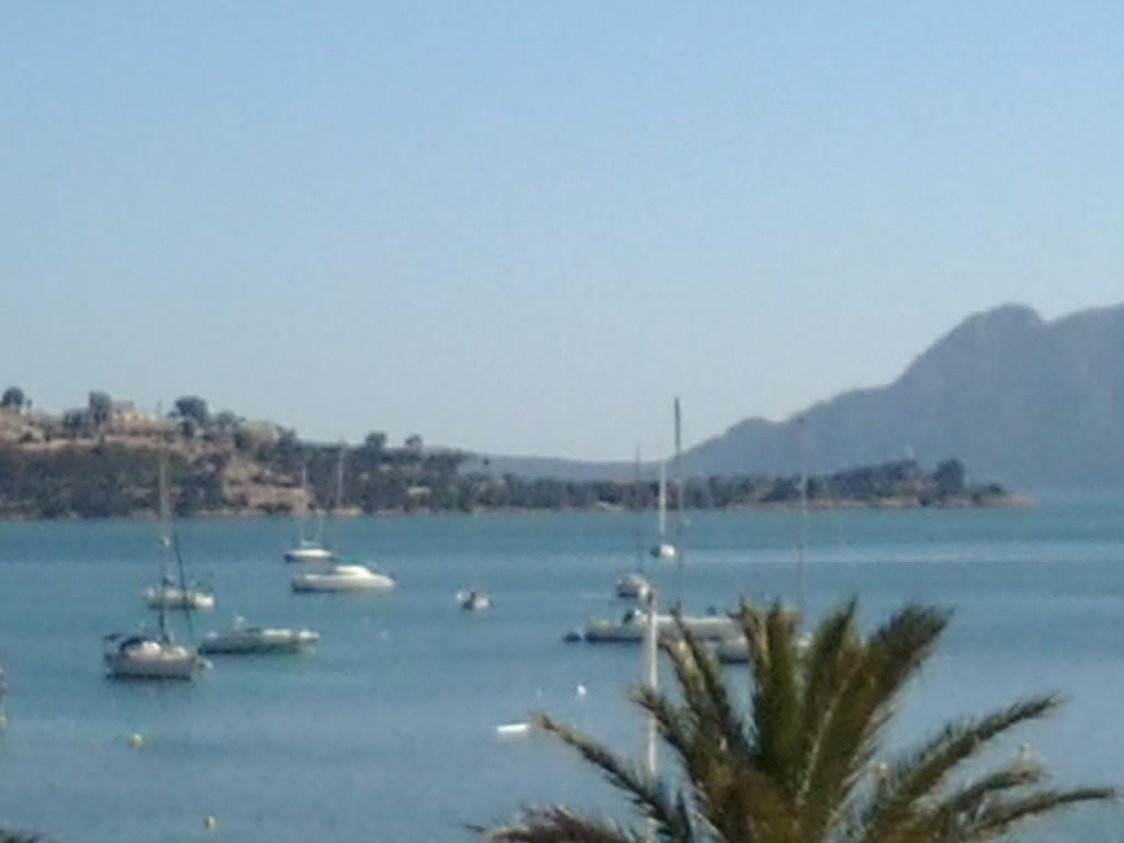 Apartment Llevant
