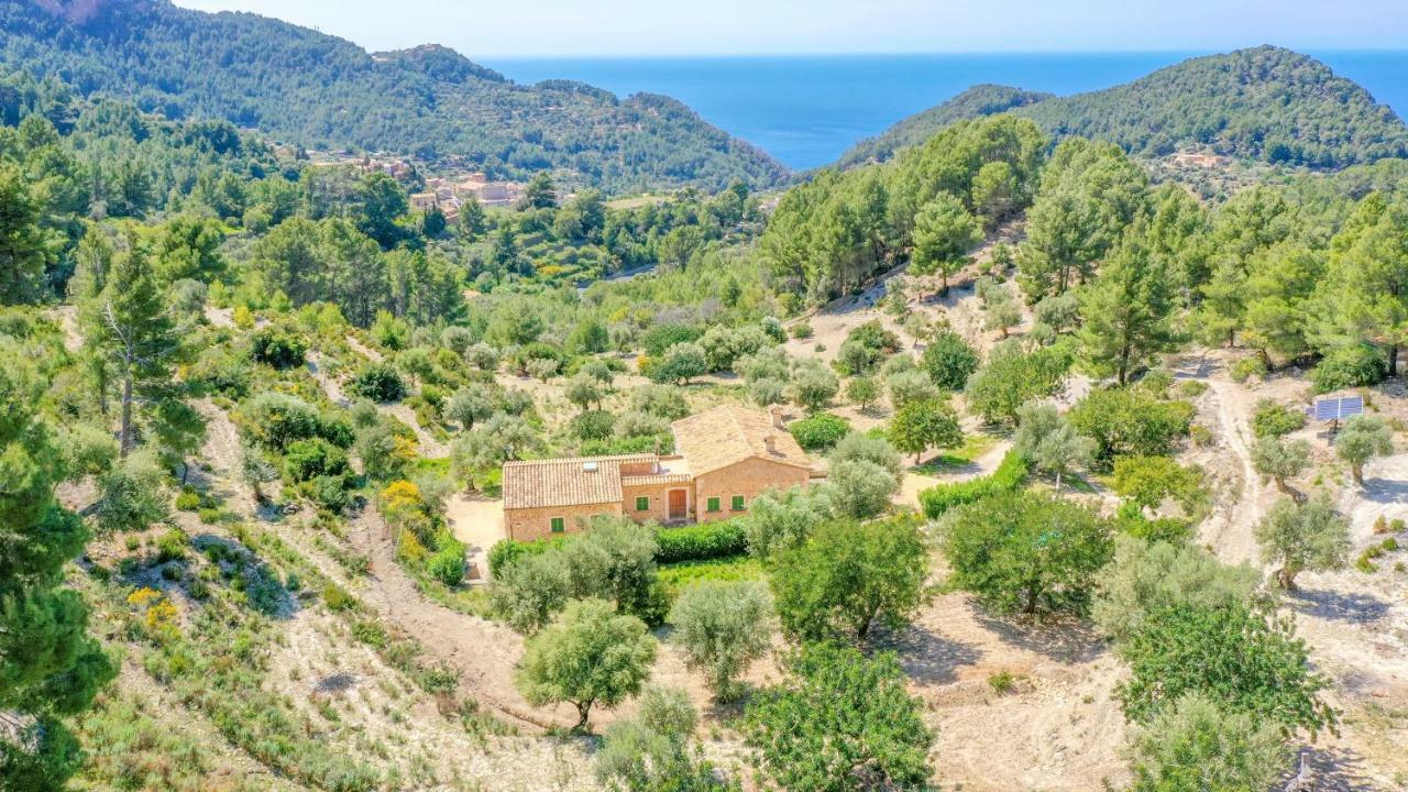 Villa Son Llarg *