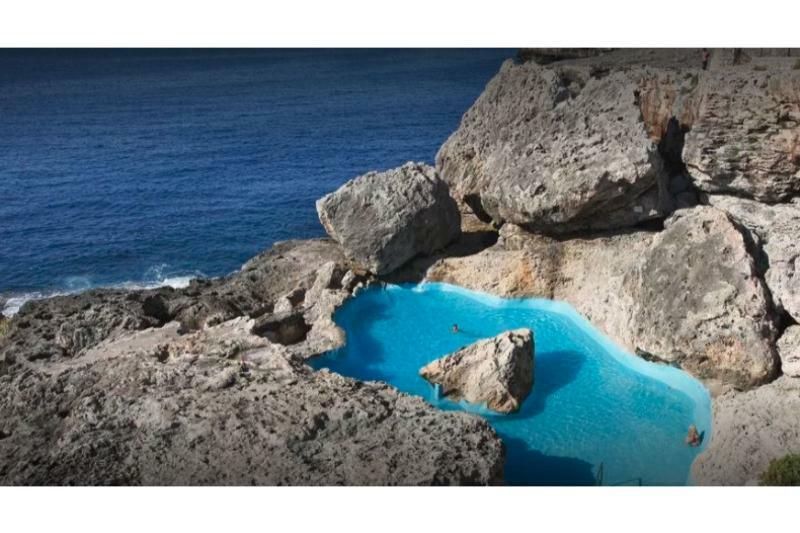 Alua Rocas Hotel