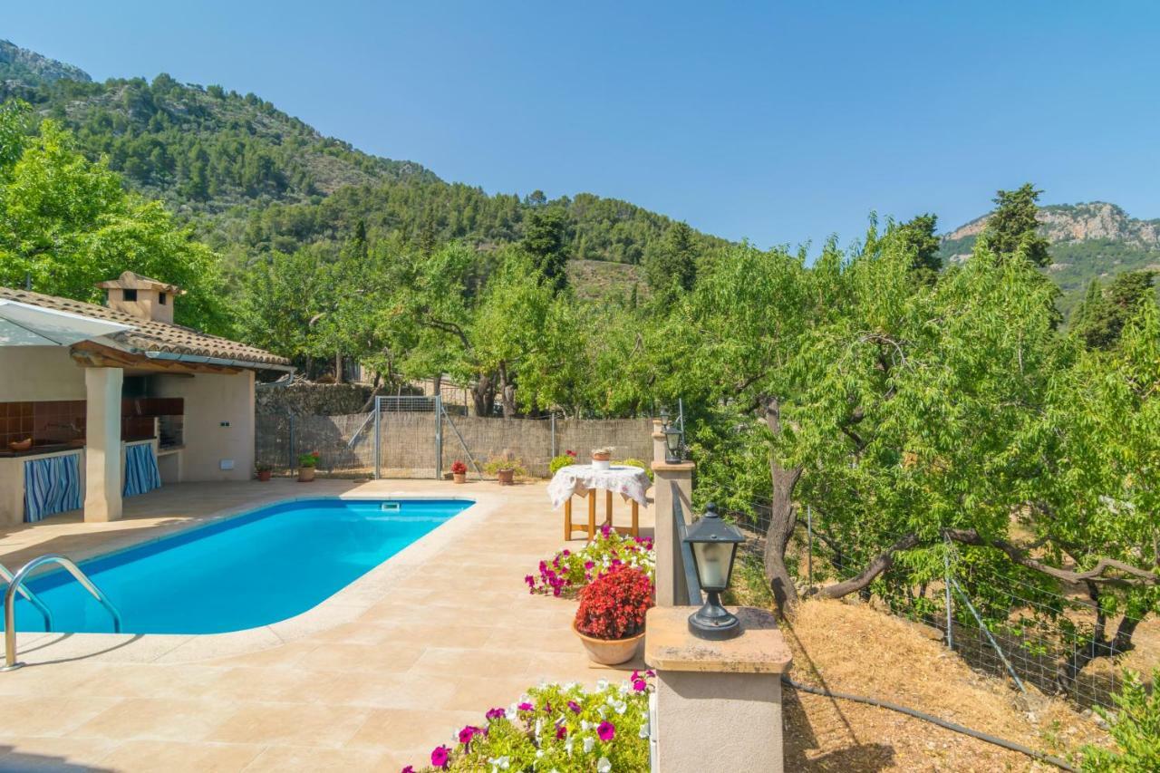 Fabiol - Adults Only * Soller