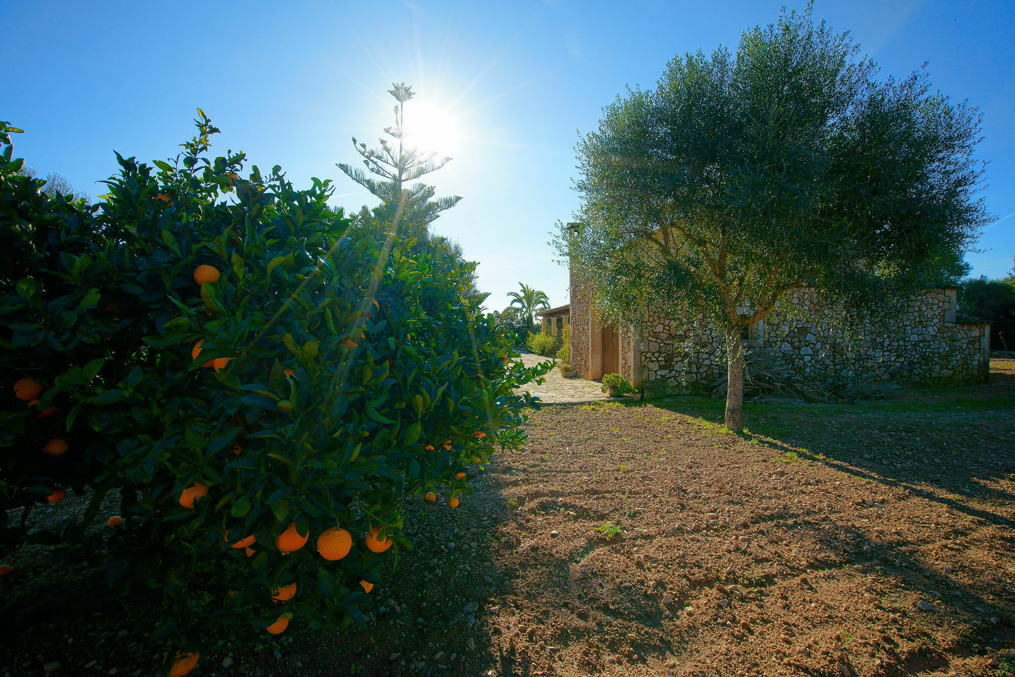 Bou Ros Finca Can Nadal Villa