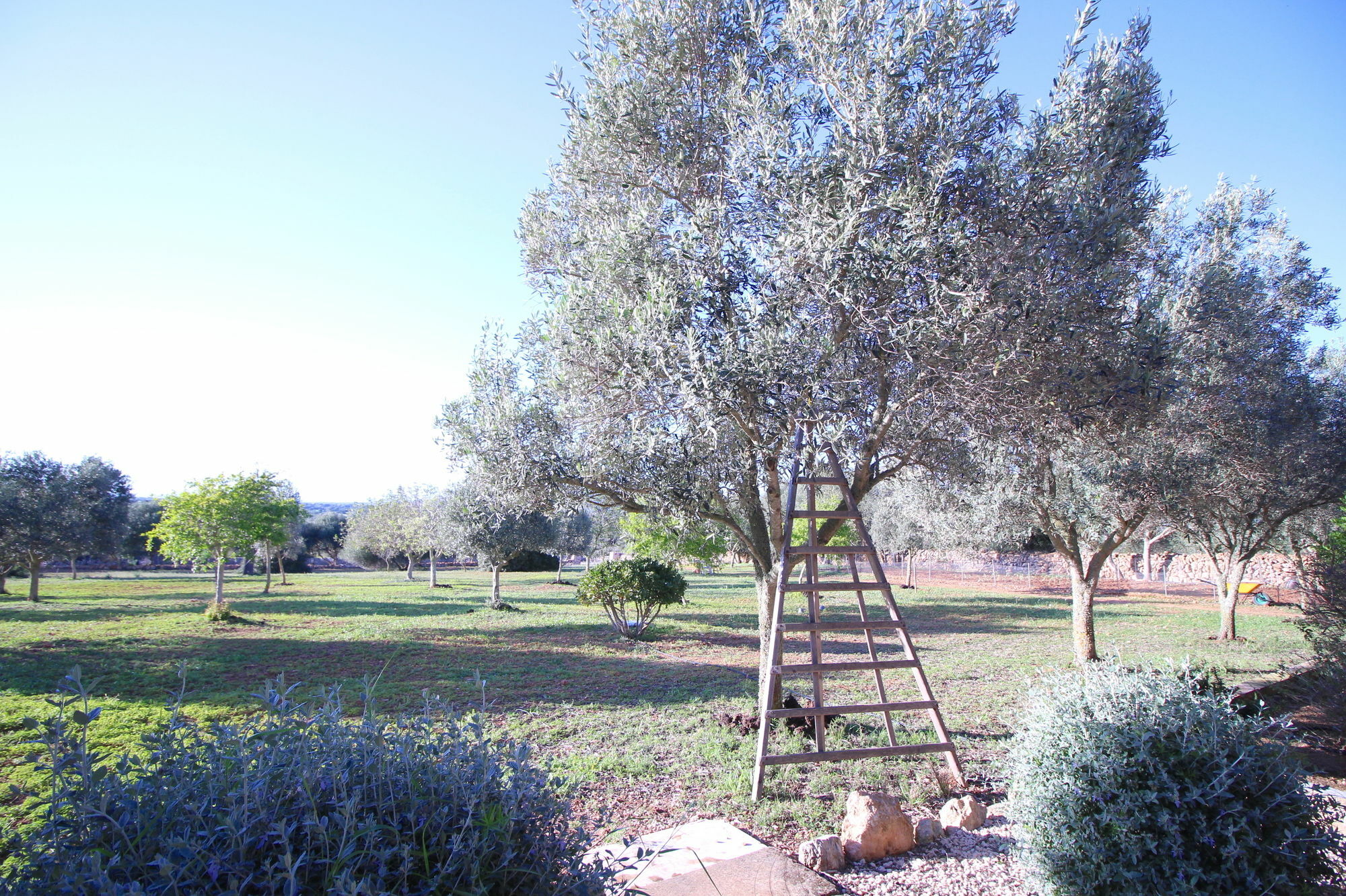 Villa Romantic Ses Mires *
