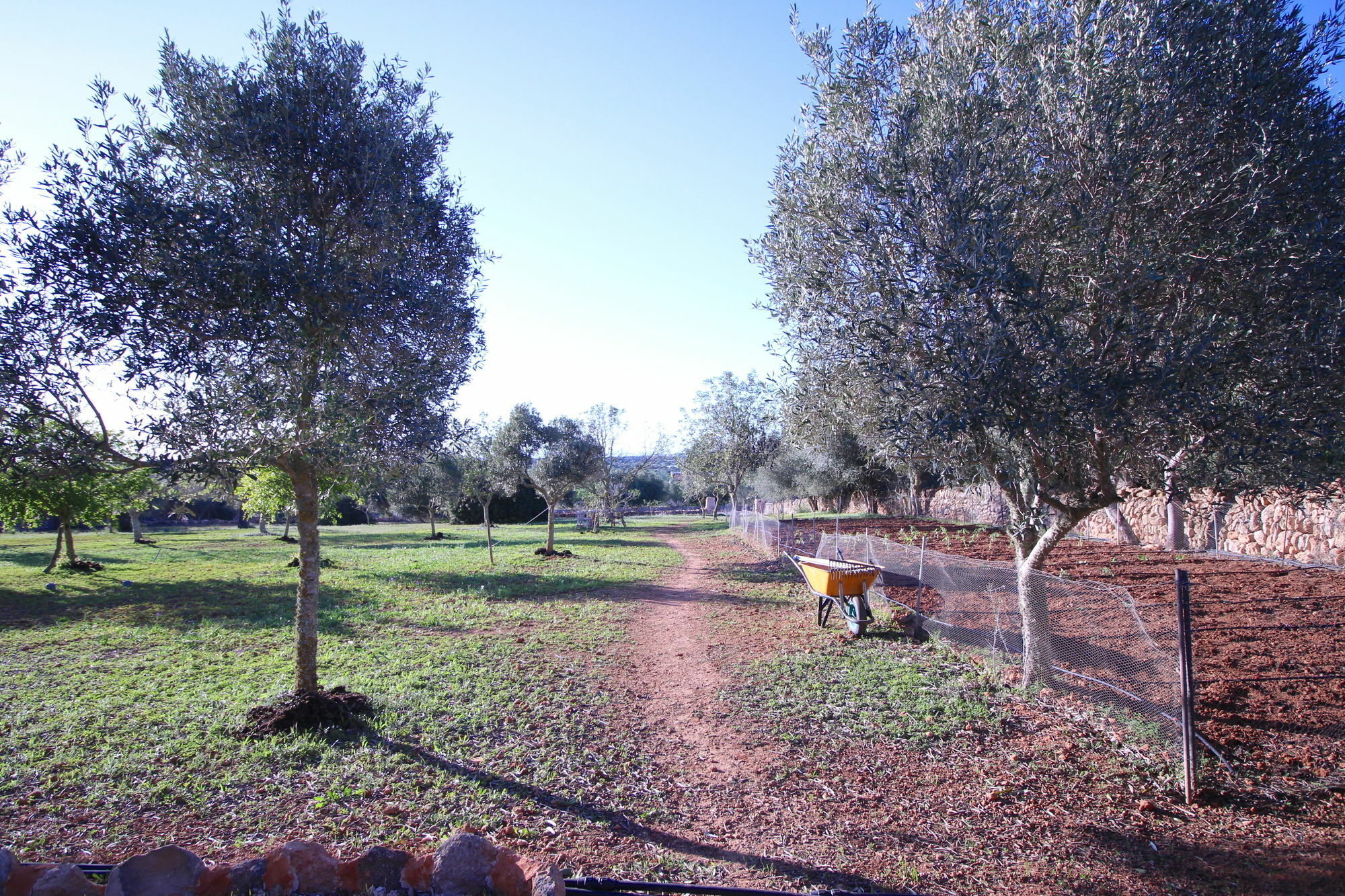 Romantic Ses Mires Villa