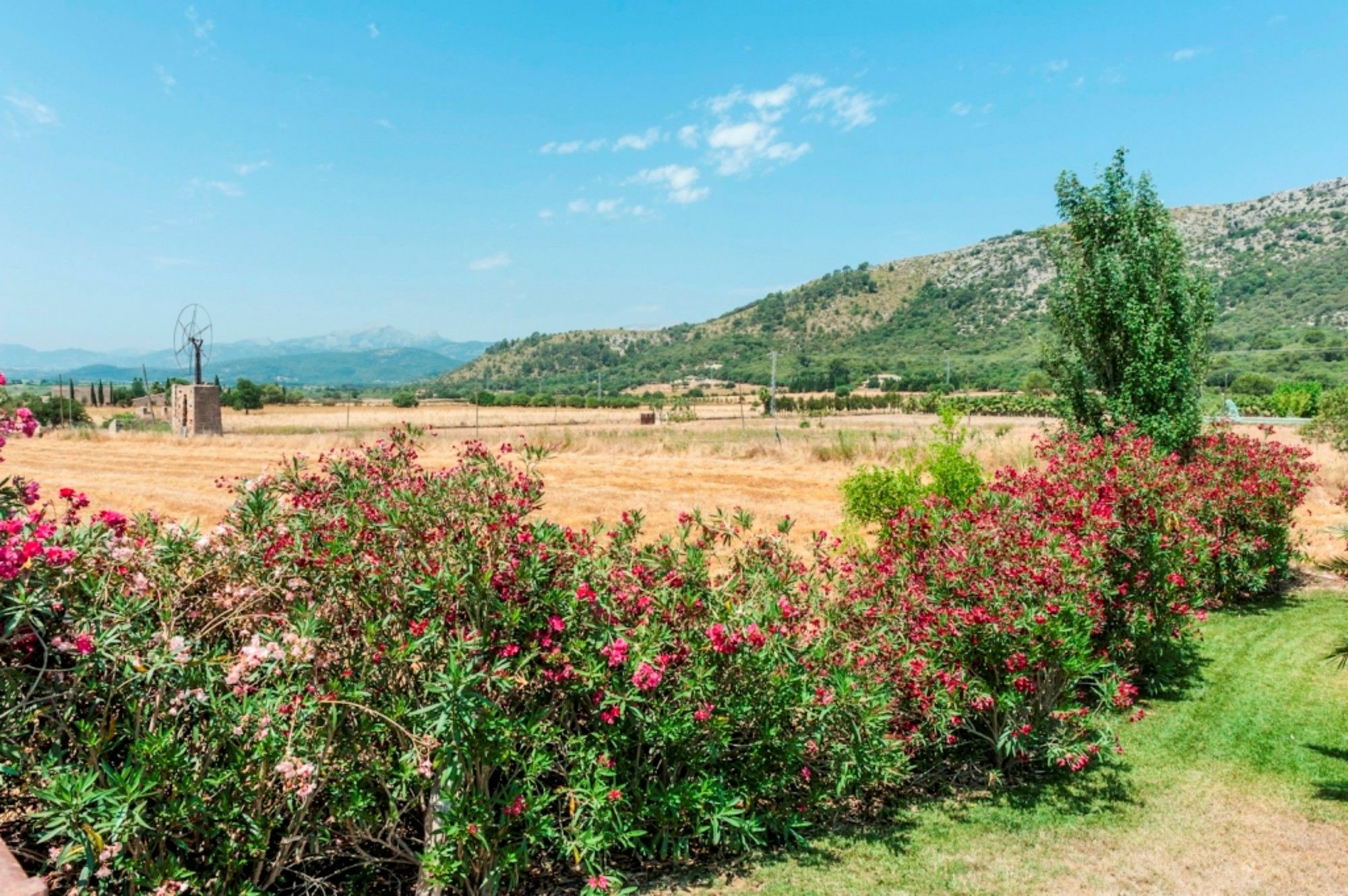Corro Alcúdia