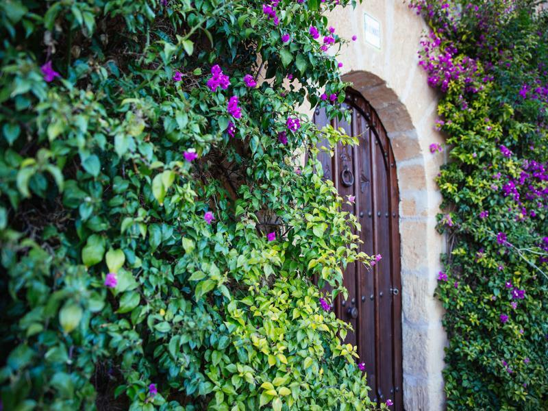 Es Lloquet (adults Only) Hotel Campos (Mallorca)