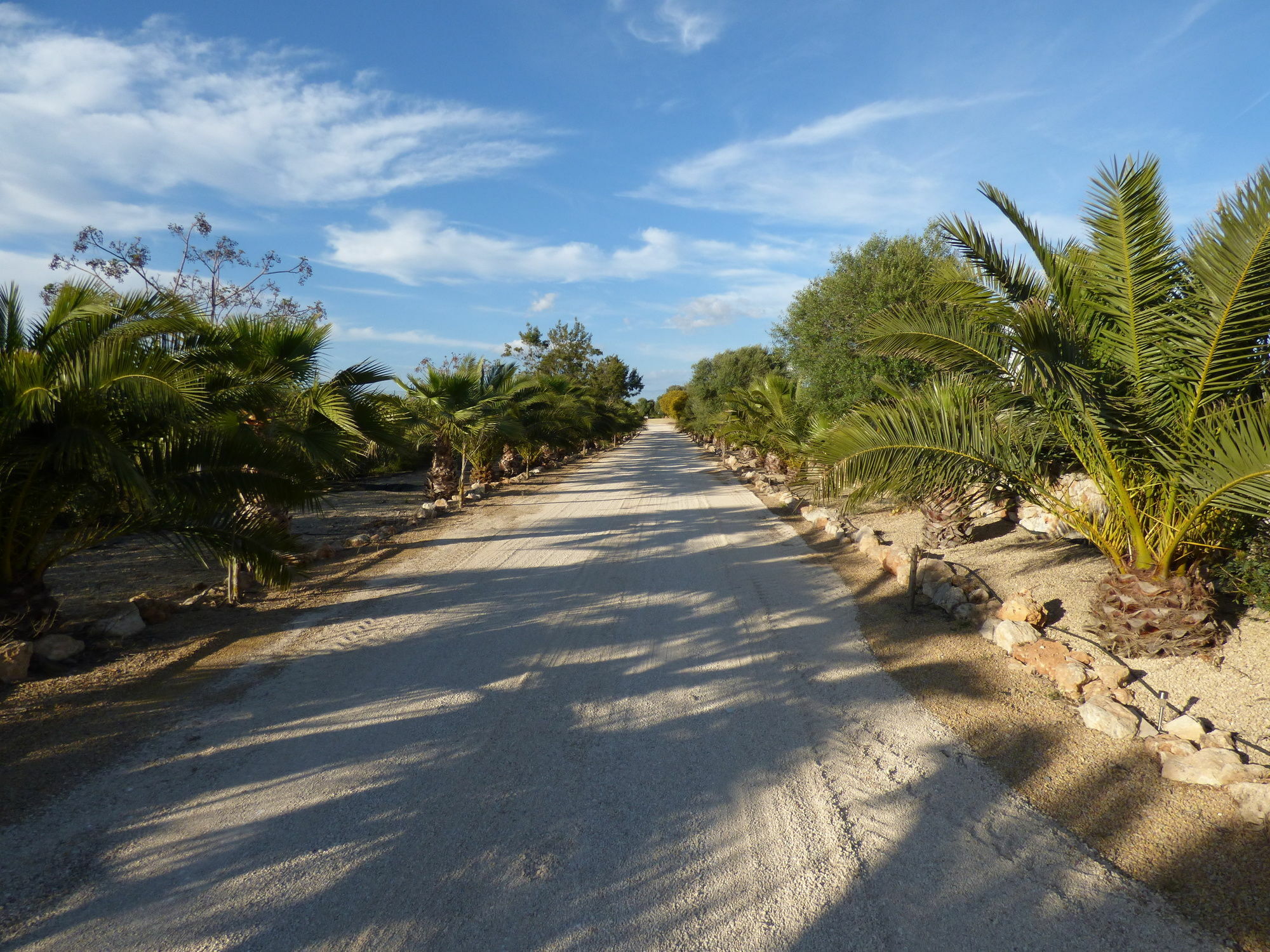 Es Lloquet (adults Only) Campos (Mallorca)