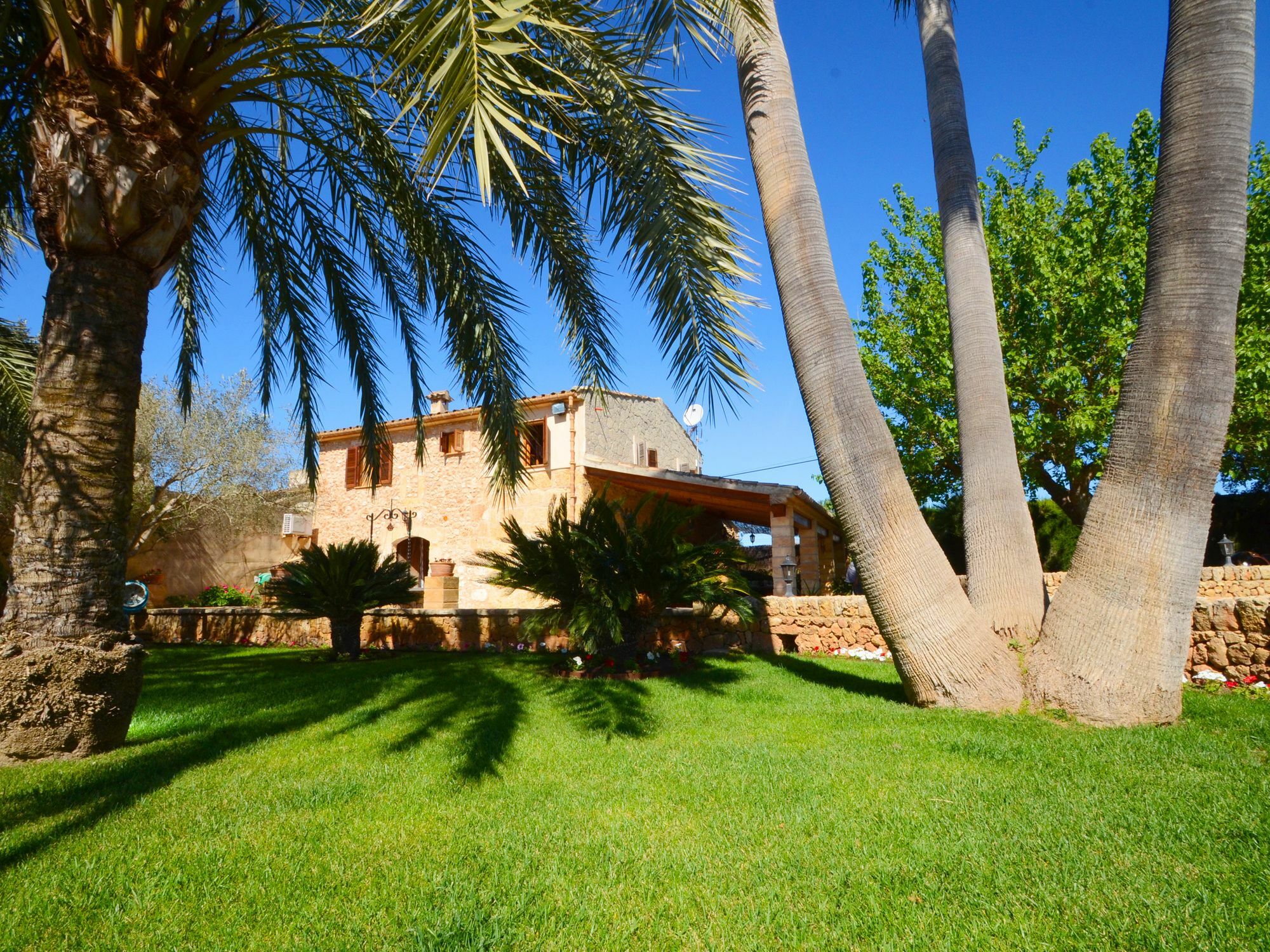 Rovell Villa Inca (Mallorca)