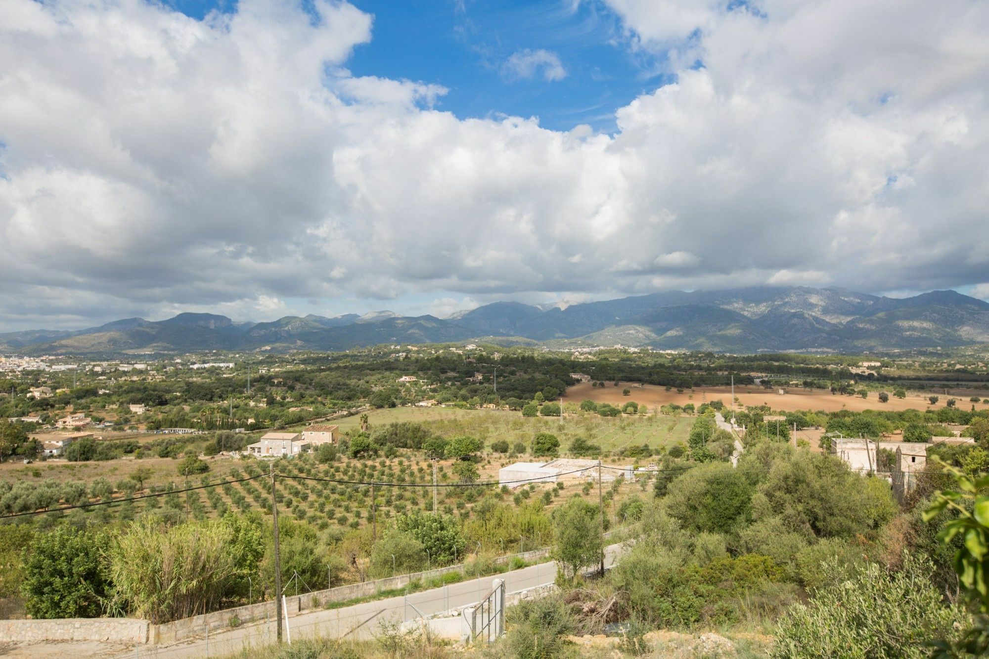 Ses Figues * Inca (Mallorca)