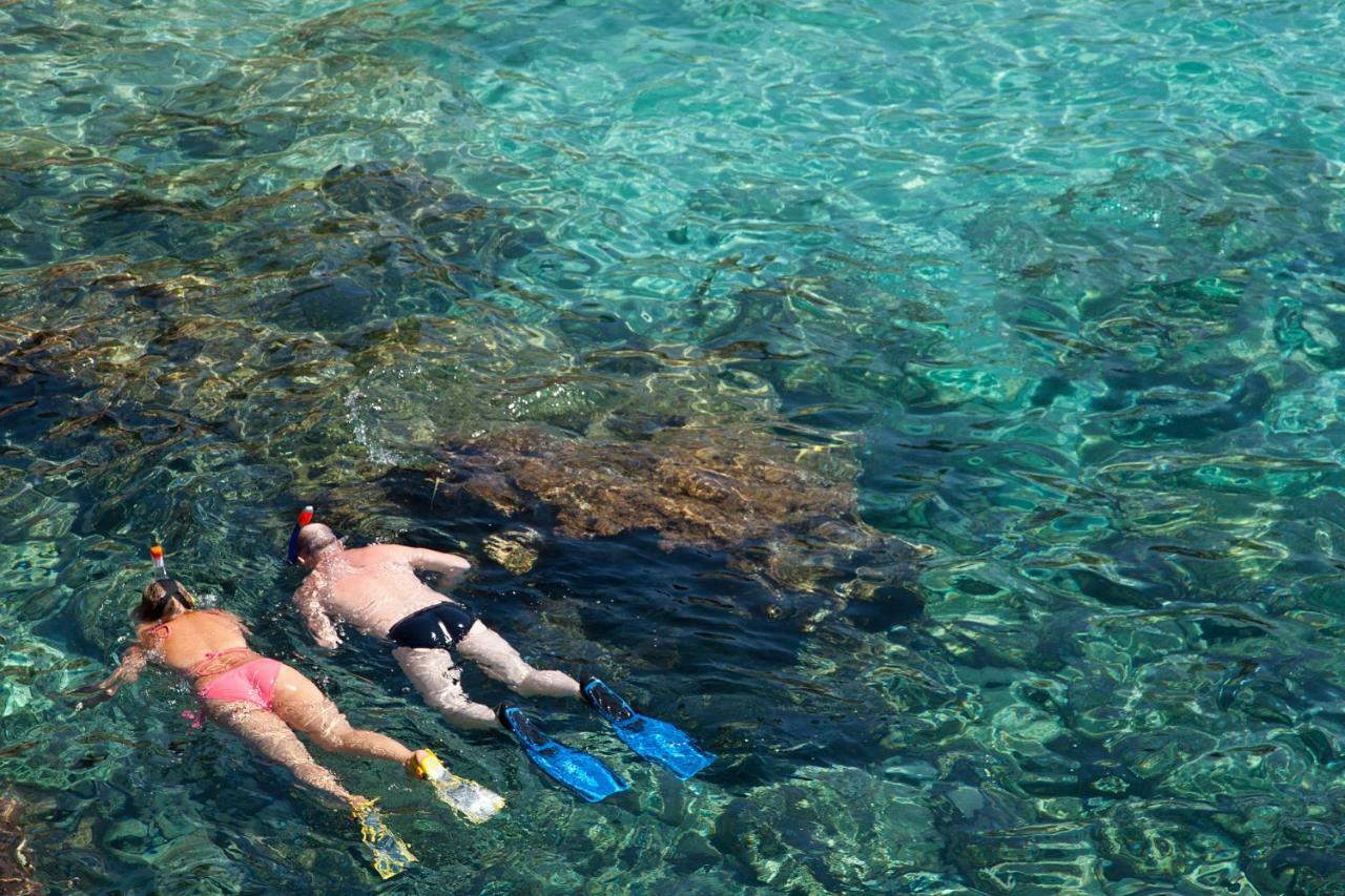 Cala Morlanda Estudios S'Illot (Mallorca)