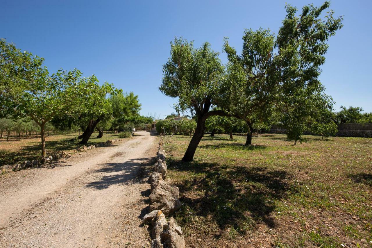 Ca'n Lluis - La Goleta Сasa de vacaciones Pollensa