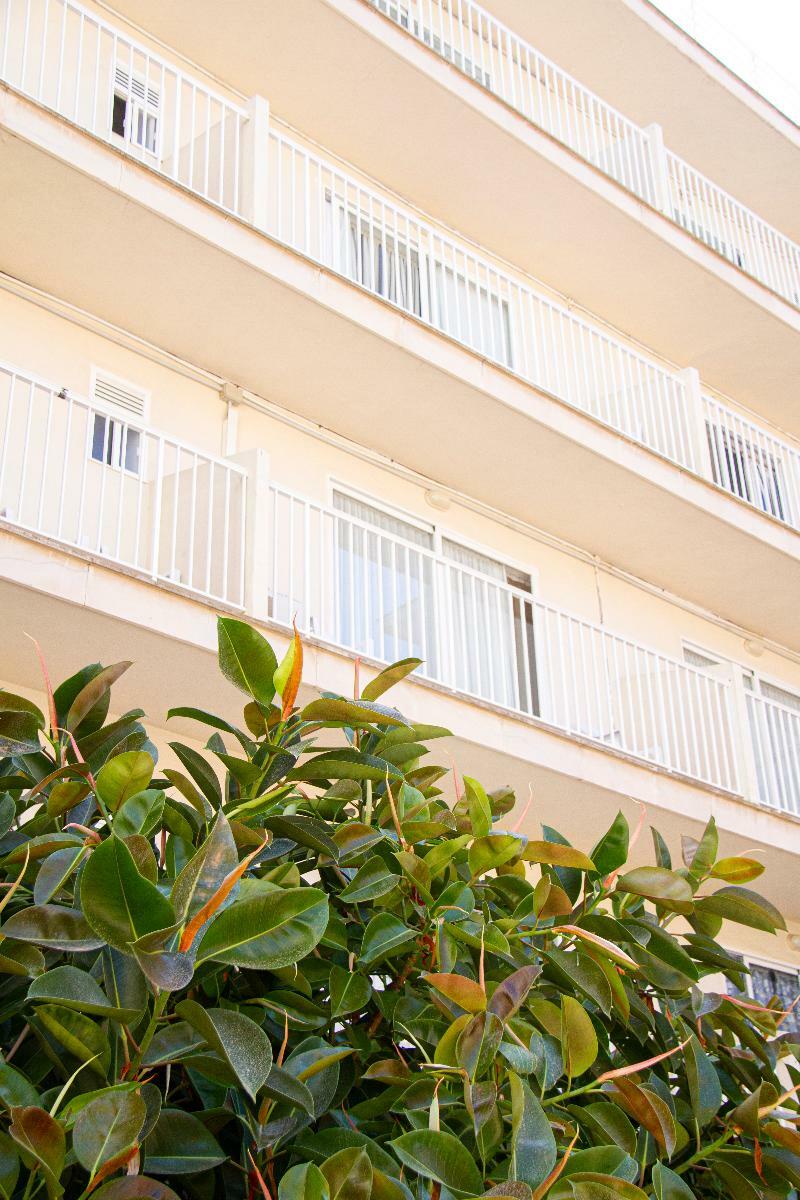 Hotel Selva Arenal El Arenal (Mallorca)