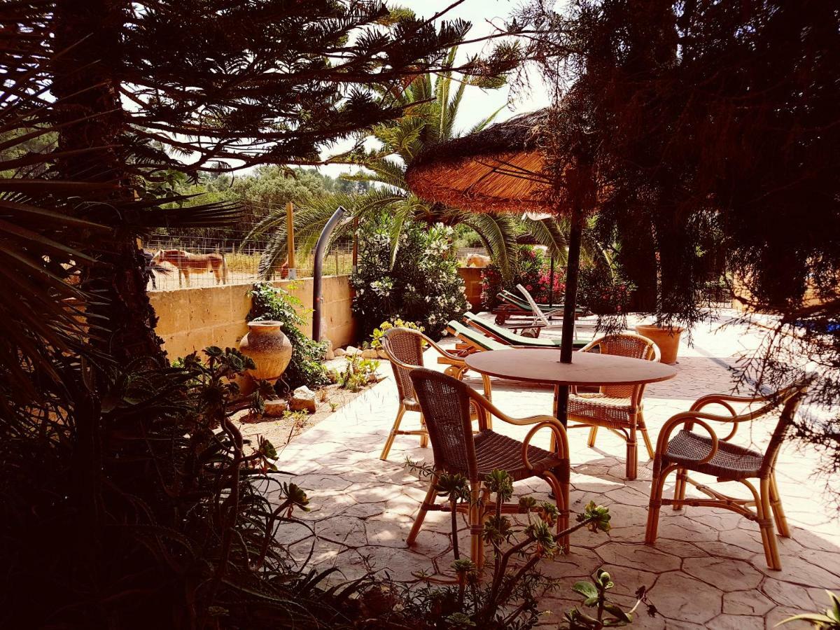 Finca Caballo Blanco Pensión Montuiri (Mallorca)