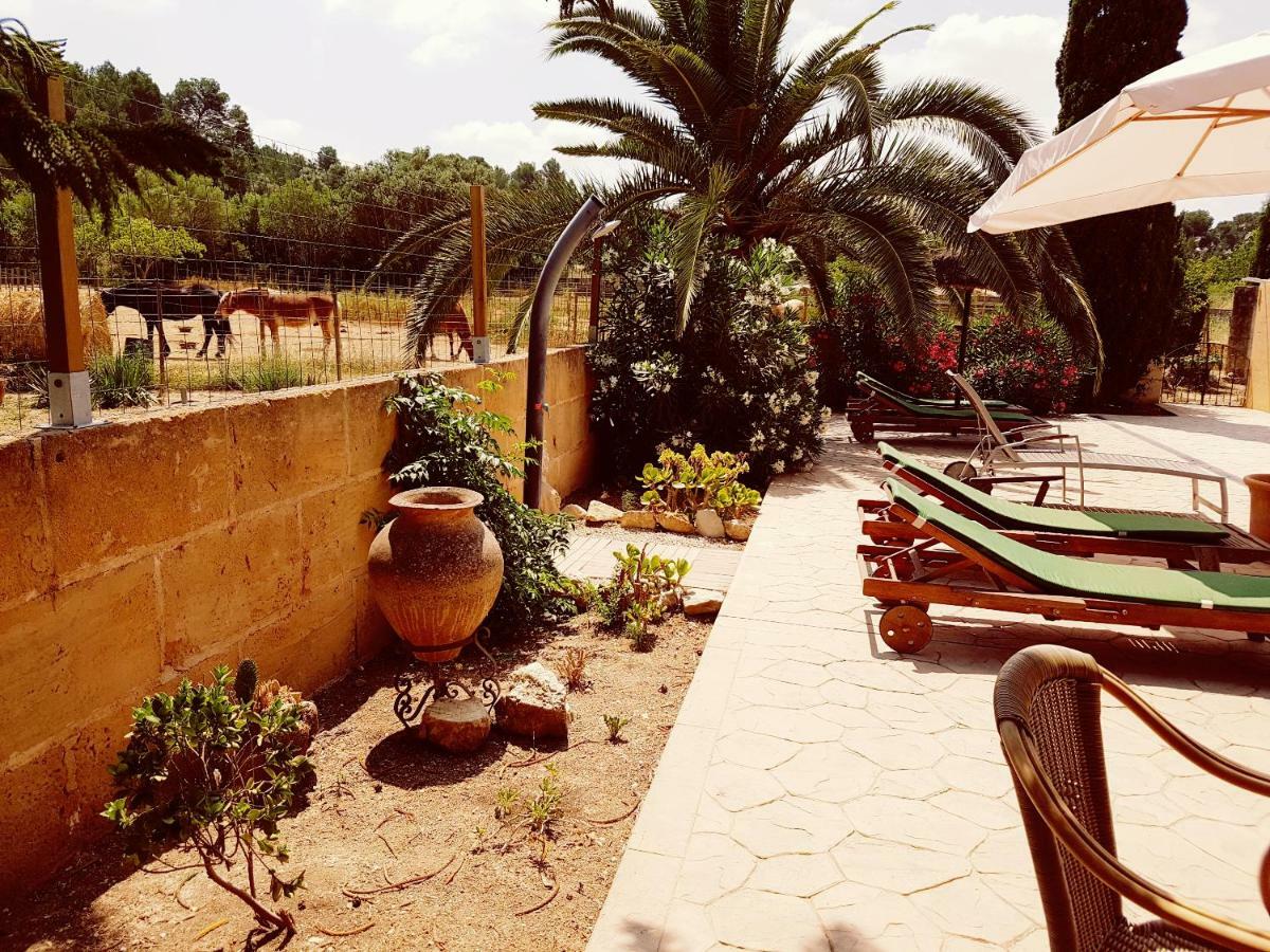 Finca Caballo Blanco *