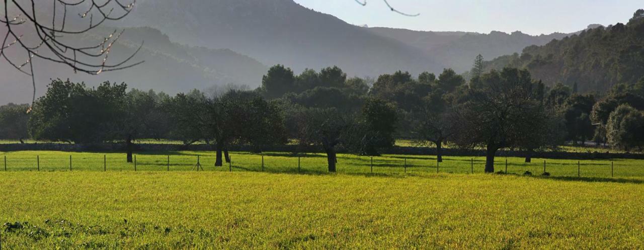 Pontico Holiday home