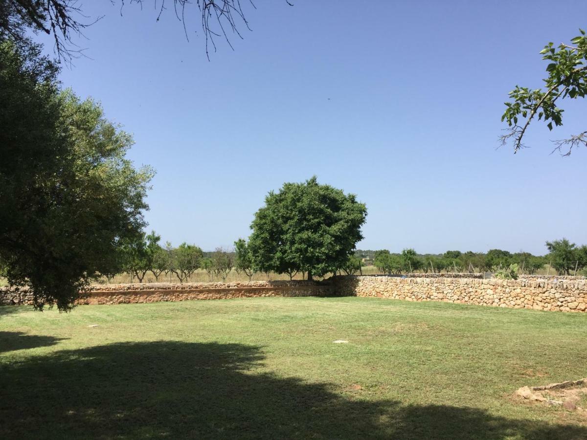 Holiday home Ses Cases D'alaiar *