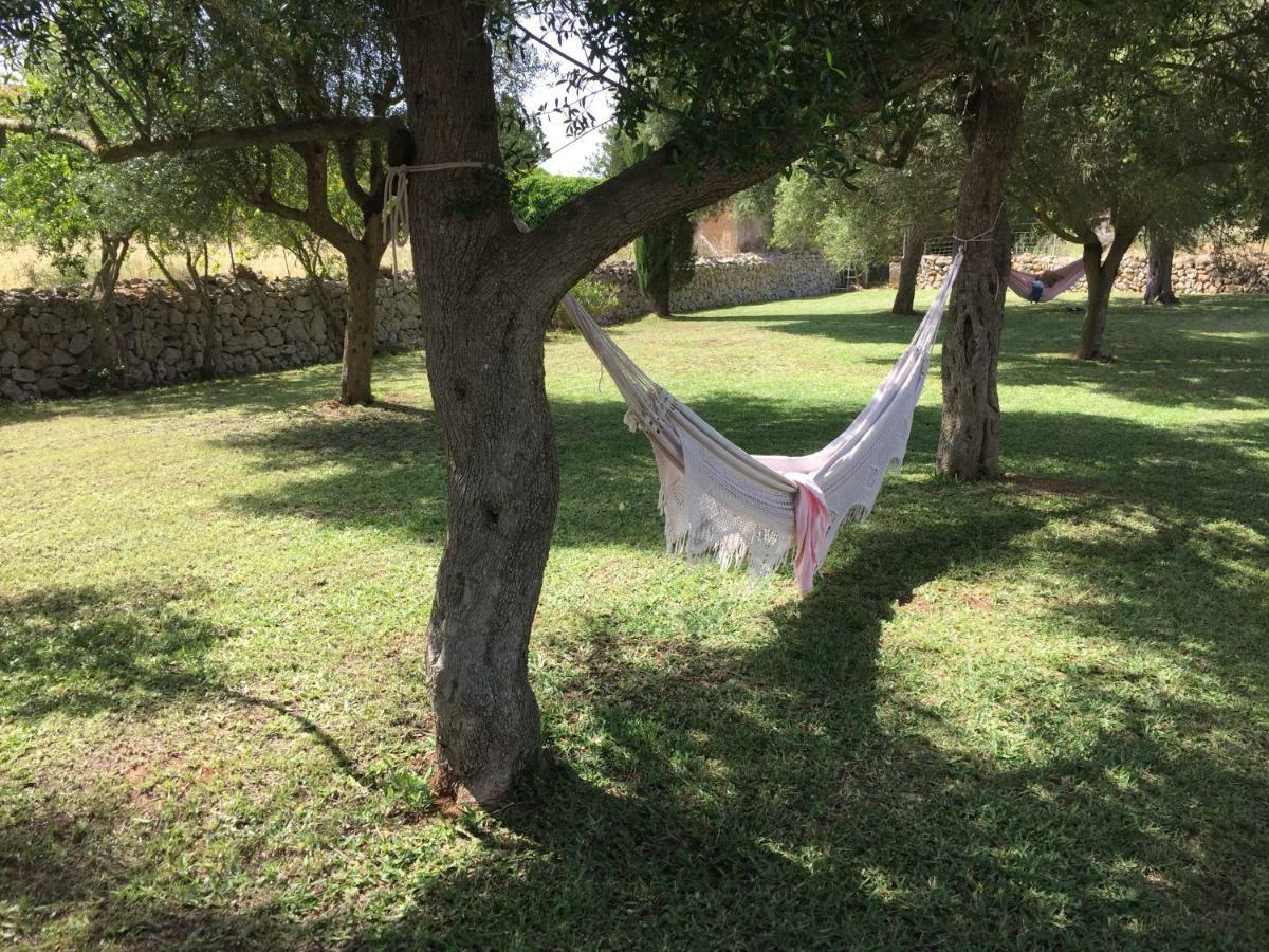 Ses Cases D'alaiar Holiday home