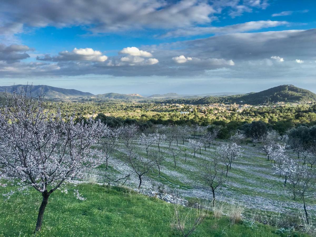Son Hortola Сasa de vacaciones