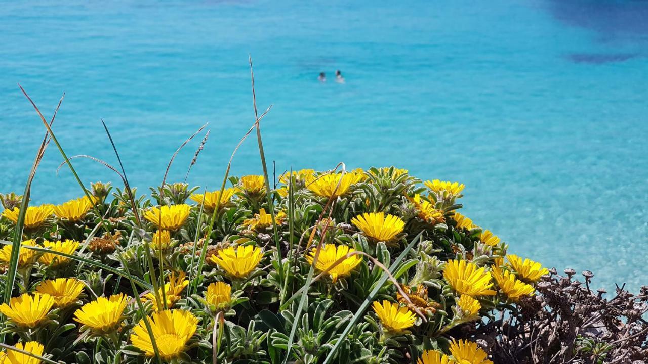 Cala Morlanda S'Illot (Mallorca)