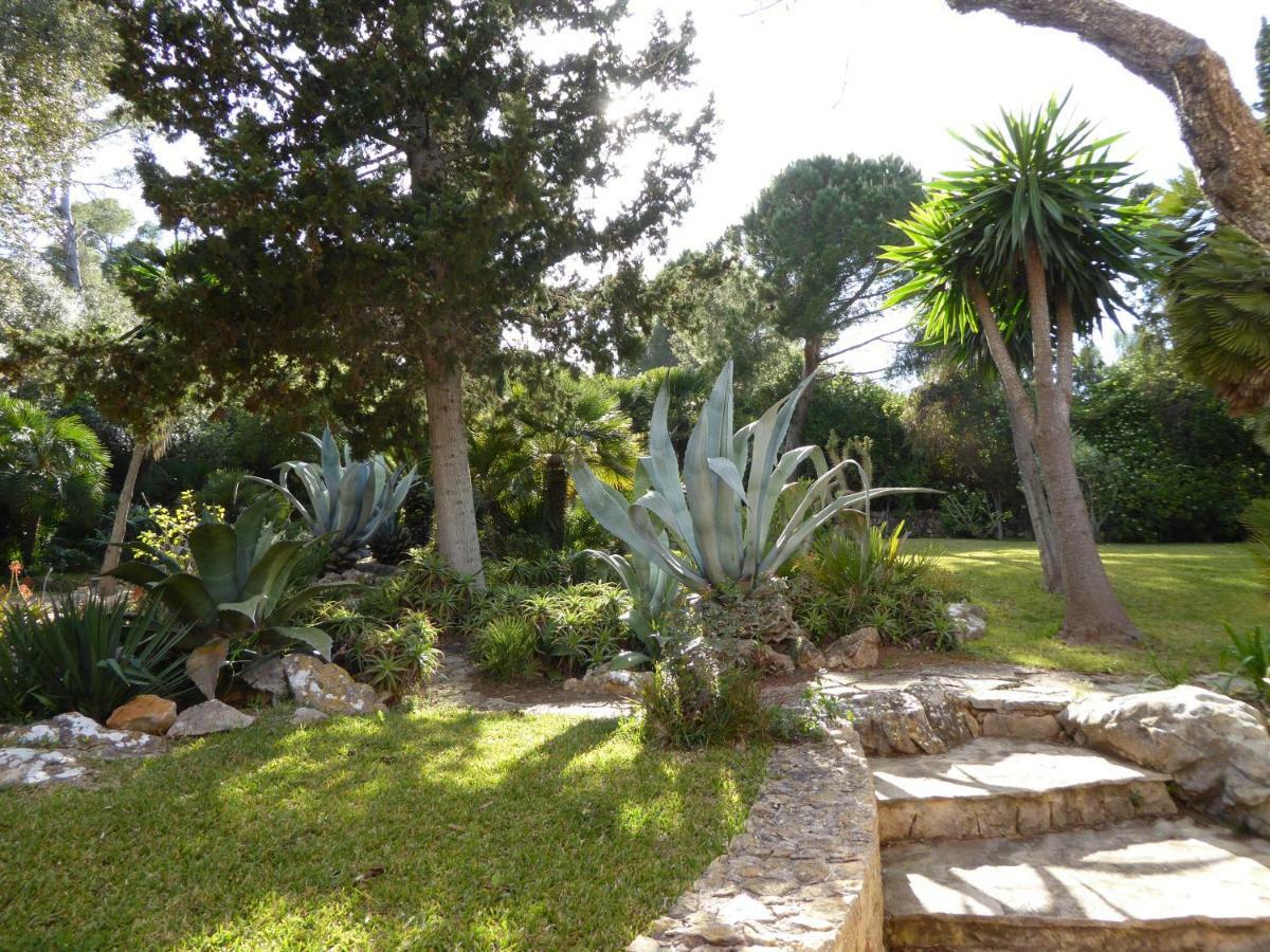 Holiday home Cas Quinto
