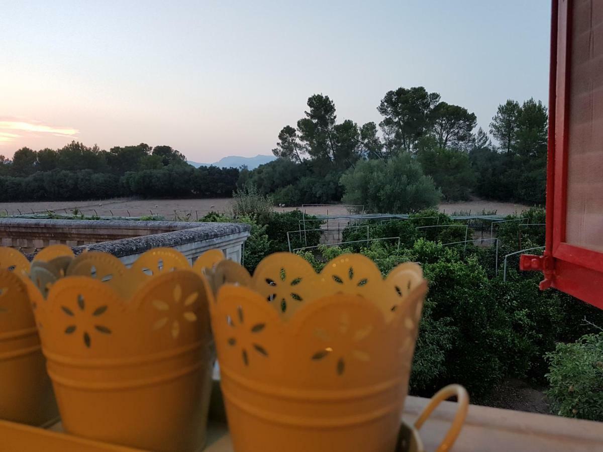 Sa Cova De Mallorca Sencelles