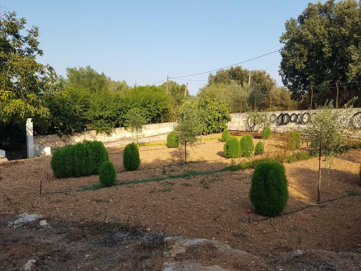 Sa Cova De Mallorca Sencelles