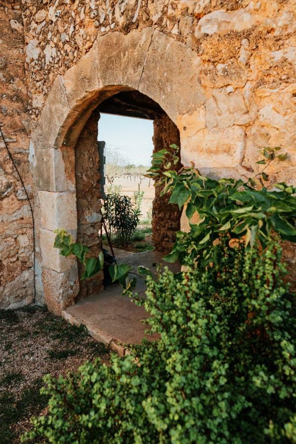 Holiday home Ses Cases D'alaiar Sencelles