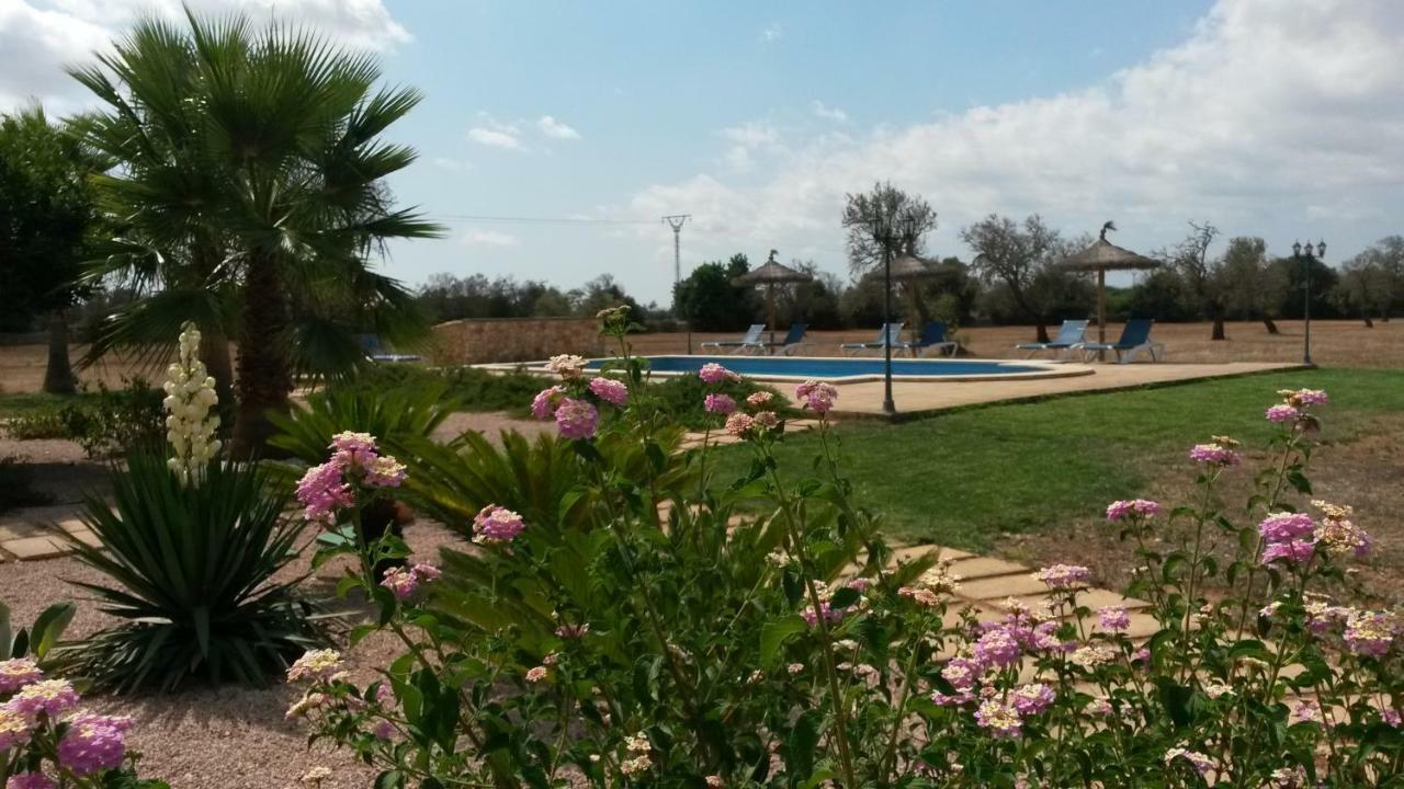 Farm stay Bonvent Felanitx