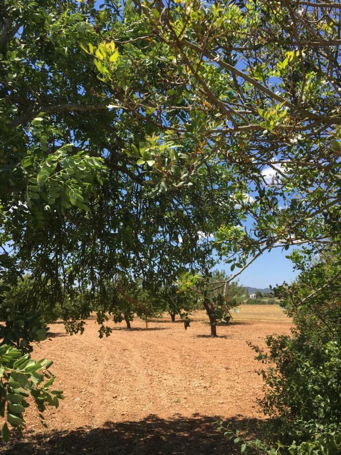 Сasa de vacaciones Finca Es Vinyet *