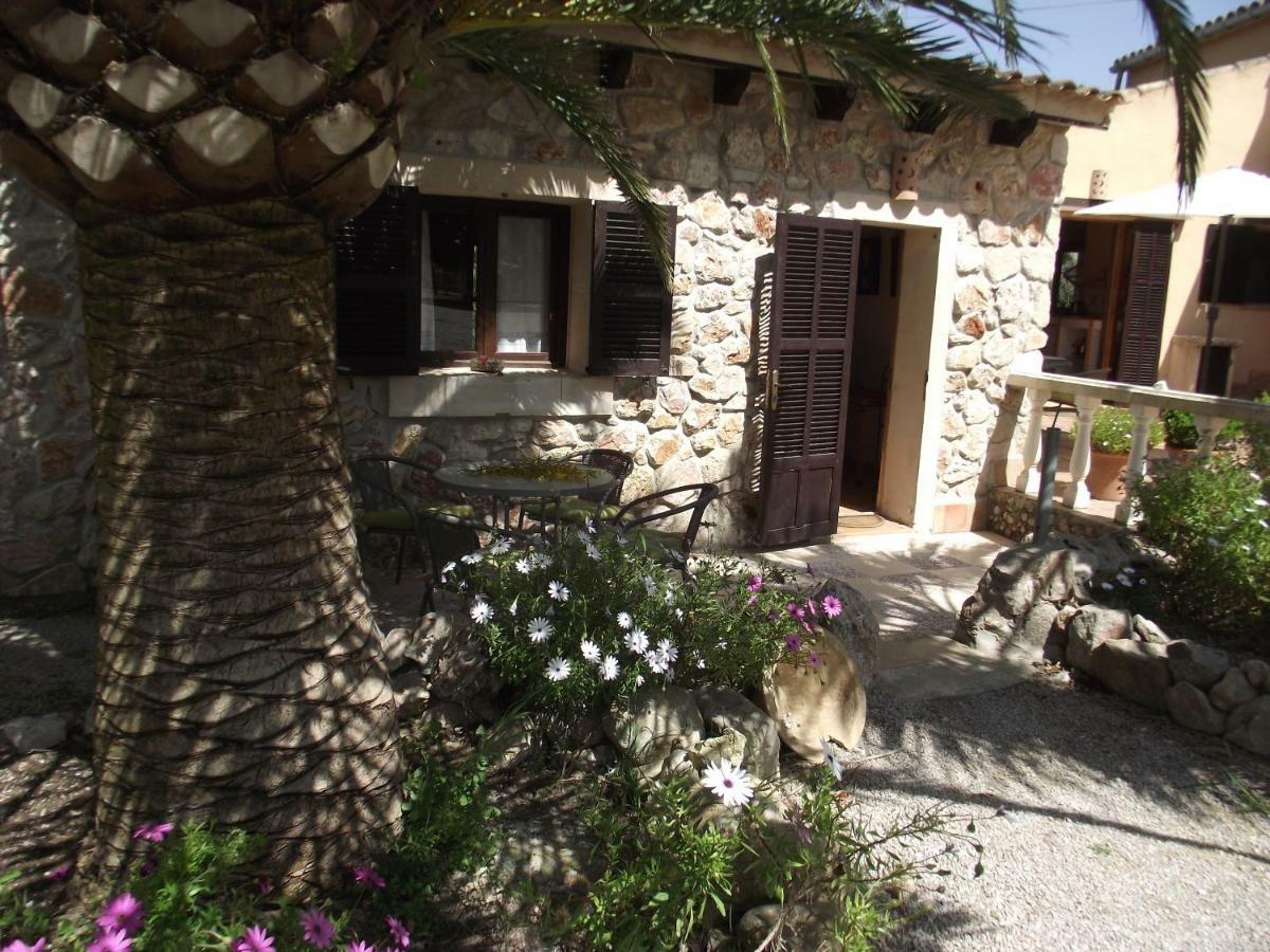 Pensión Finca Caballo Blanco