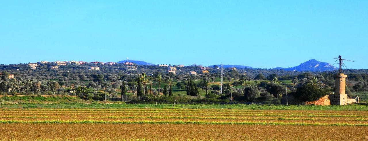 S'alqueria De Son Gual