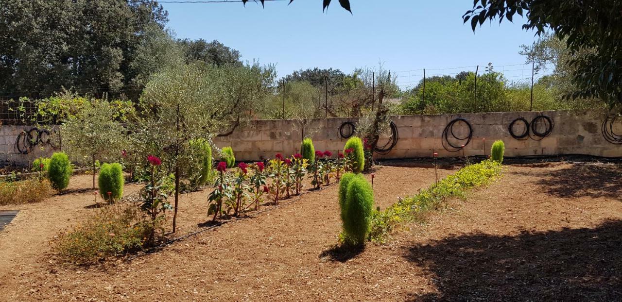Sa Cova De Mallorca Sencelles